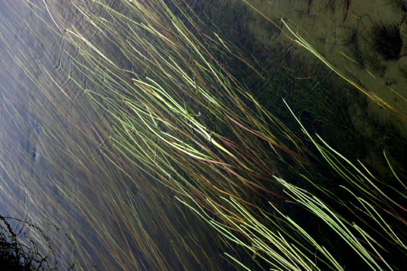 070404 Hope Hatcher Montana Creek (10078)